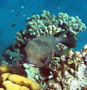 Замечательное место!