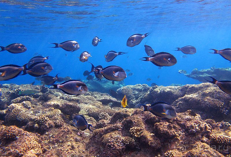 Замечательное место!