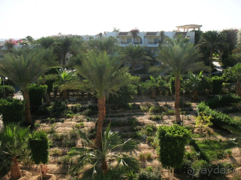 Замечательное место!