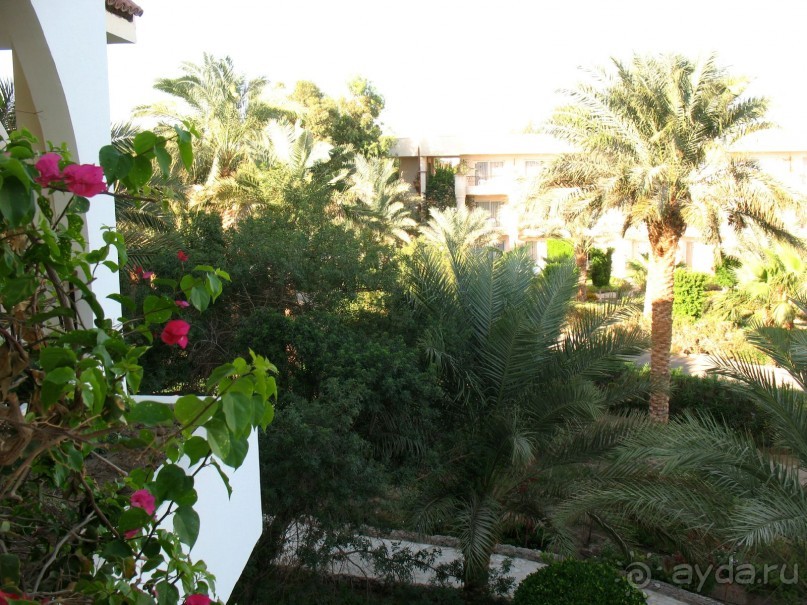 Замечательное место!