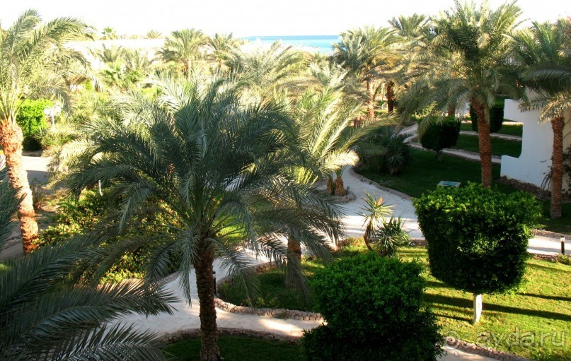 Замечательное место!