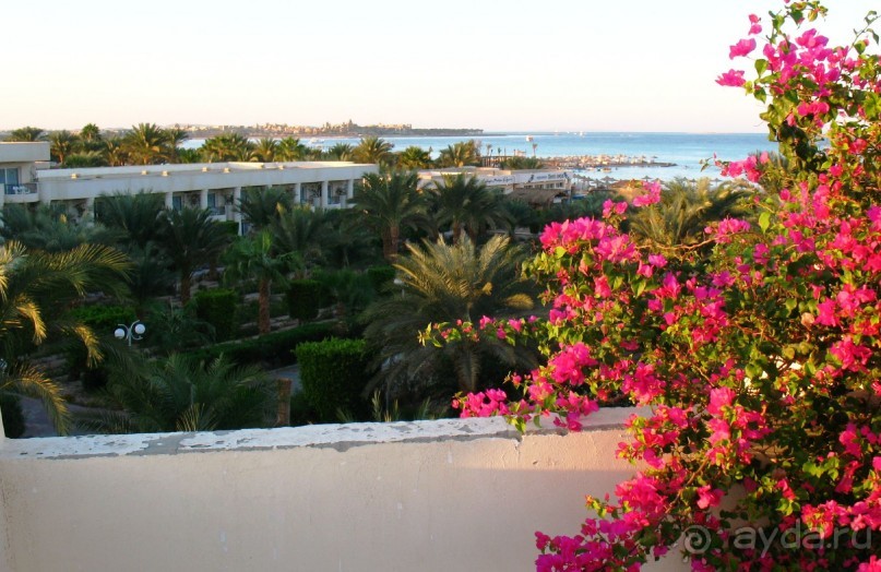 Замечательное место!