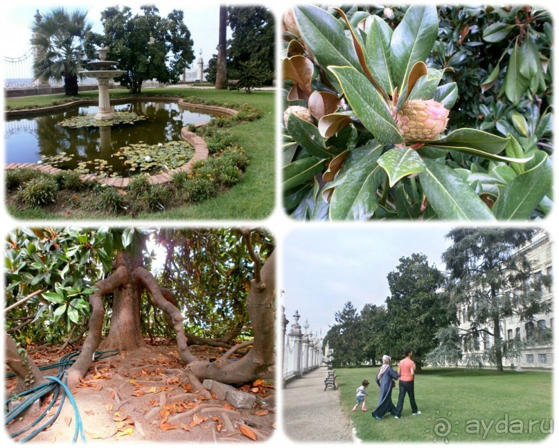 Стамбул. День четвертый.Долмабахче, Крепость Хисары,Султанахмет, Пахлава.