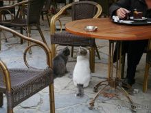 Стамбул--Гёреме. Впечатления знакомой от поездки.