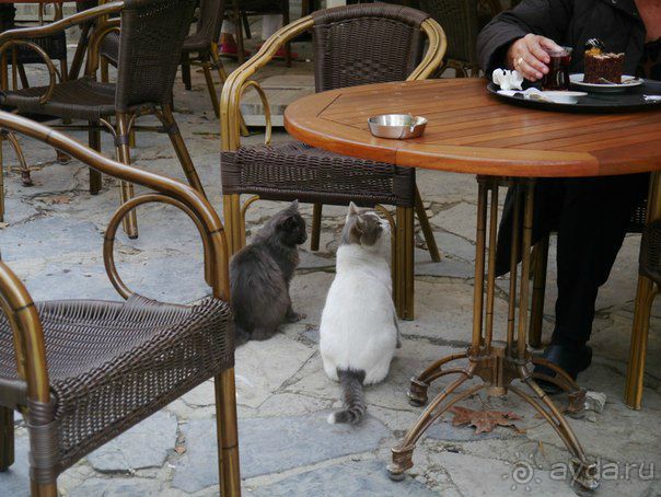 Стамбул--Гёреме. Впечатления знакомой от поездки.