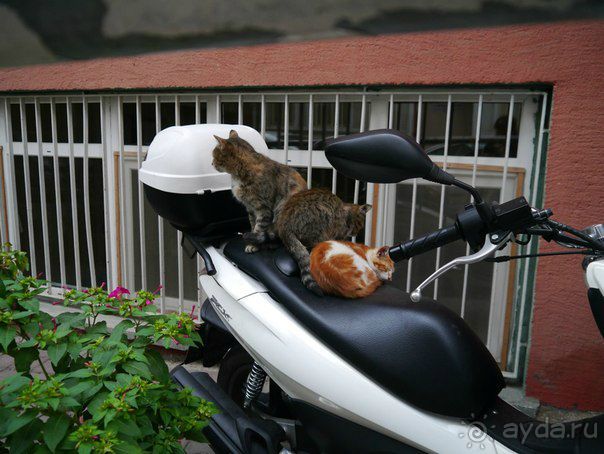 Стамбул--Гёреме. Впечатления знакомой от поездки.