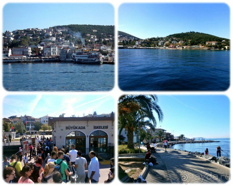 Стамбул. День шестой.Принцевы Острова. Отъезд в Каппадокию.