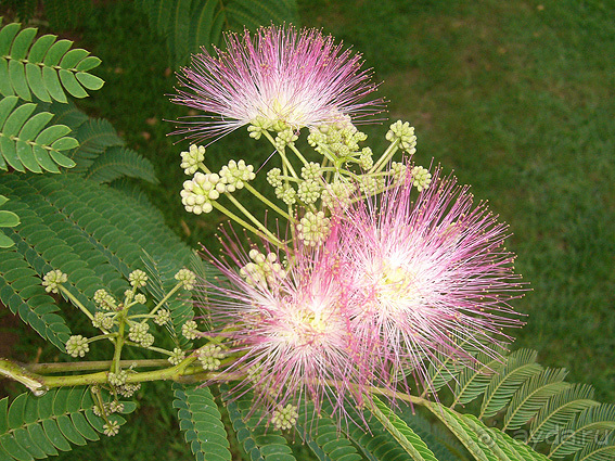 На территории гостиницы