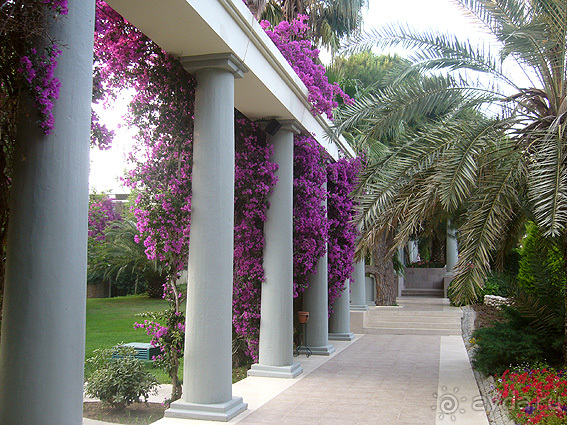 На территории гостиницы