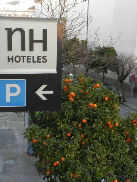 Вид из нашего окна