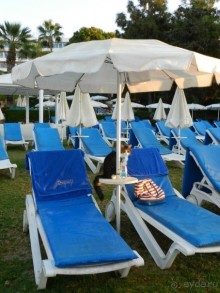 фото Sol Gorriones