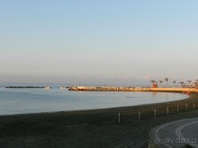 фото Sol Gorriones