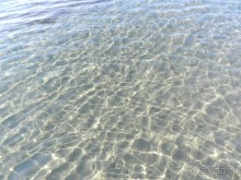 фото Sol Gorriones