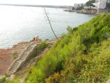 фото Best Da Vinchi Royal