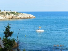 фото Best Da Vinchi Royal