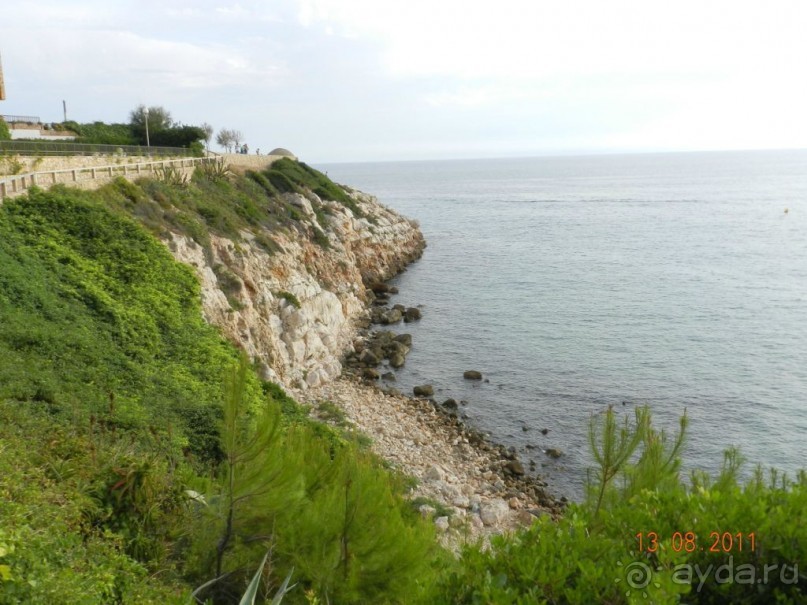 фото Best Da Vinchi Royal