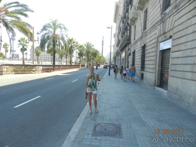 фото Best Da Vinchi Royal