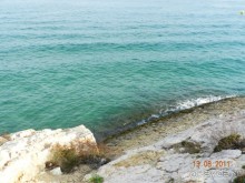 фото Best Da Vinchi Royal