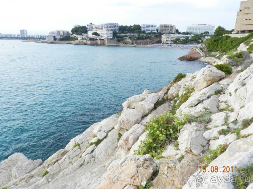 фото Best Da Vinchi Royal