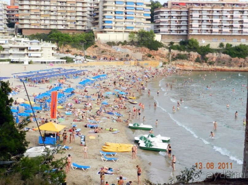 фото Best Da Vinchi Royal