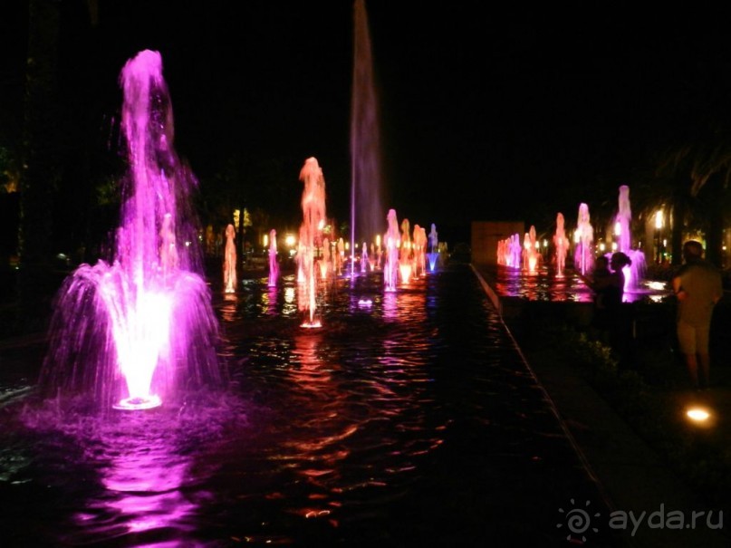 фото Best Da Vinchi Royal