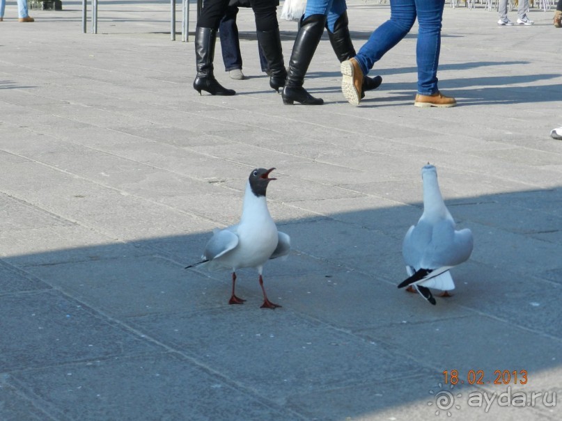 Итальянские приключения 