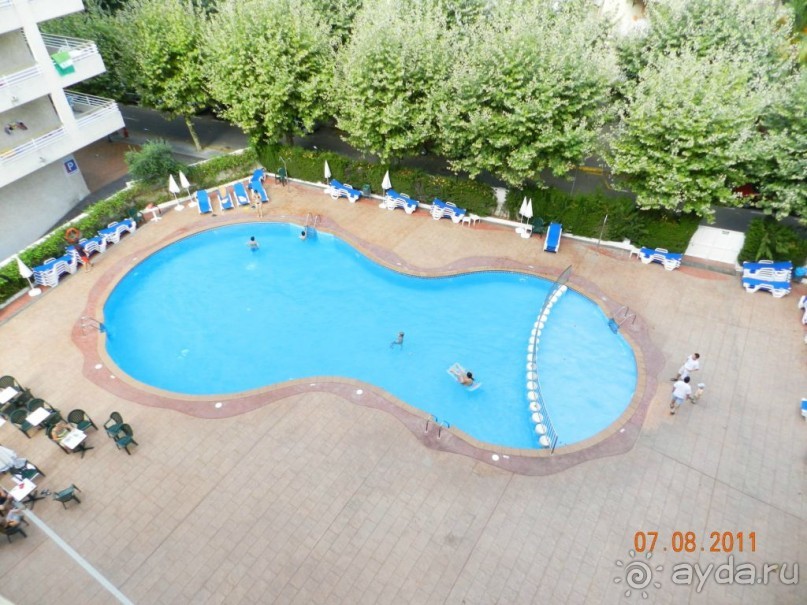 фото Best Da Vinchi Royal