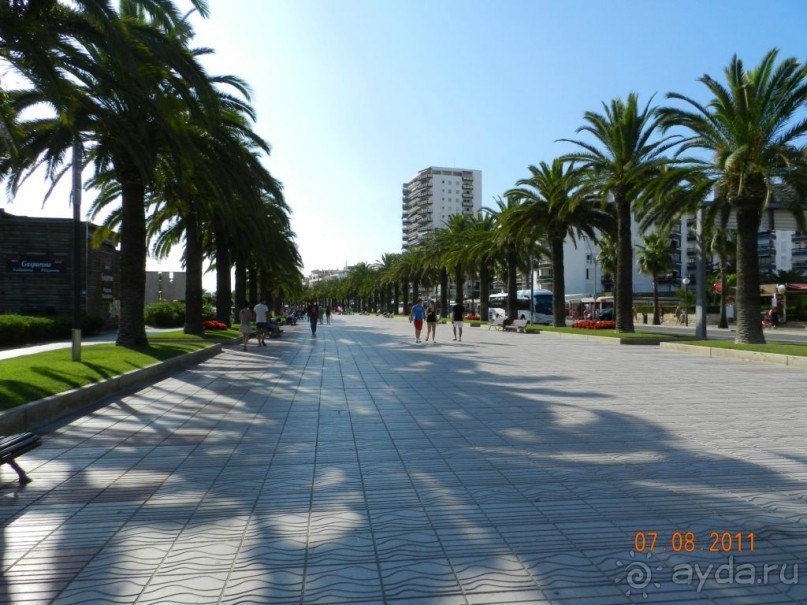 фото Best Da Vinchi Royal