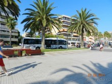 фото Best Da Vinchi Royal