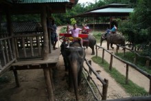 Топ-топ по Таиланду