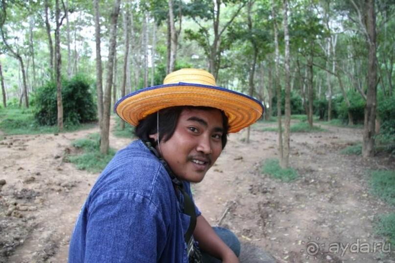 Топ-топ по Таиланду