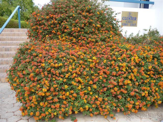 фото 4R Salou Park Resort II