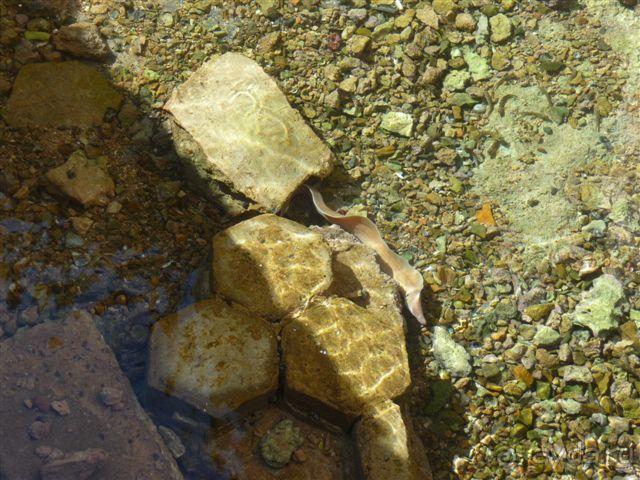 фото 4R Salou Park Resort II