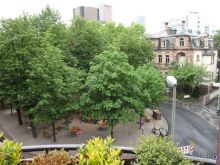 Вид из окна номера 207 в Le Meridien Park Hotel, FFM