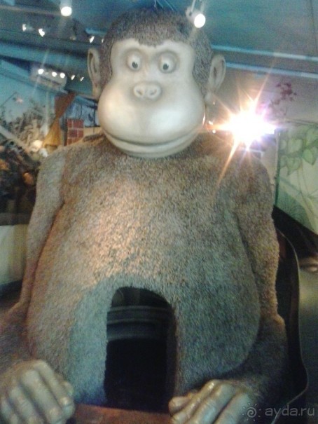 Начну с того, что поразило