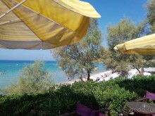 клуб  Салют, теперь Elefant