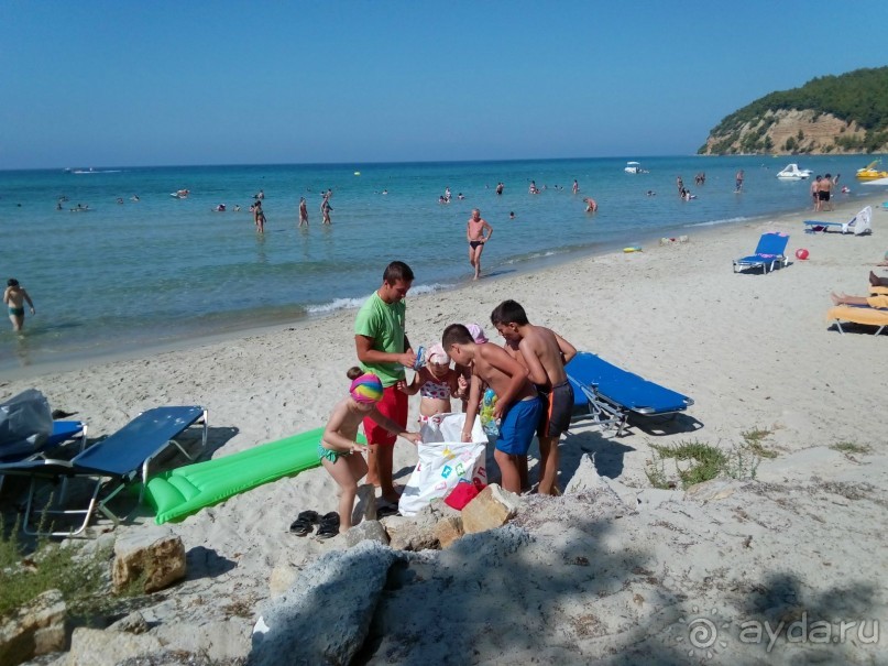 клуб  Салют, теперь Elefant