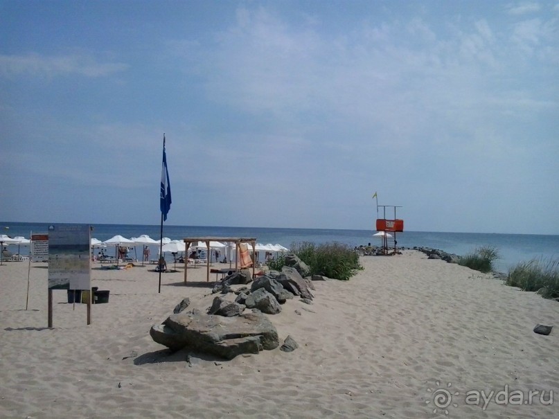 лучше чем мы ожидали