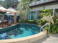 фото Orchidacea Resort