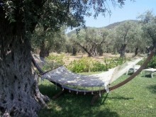 Тасос, поселок Олион