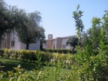 Тасос, поселок Олион