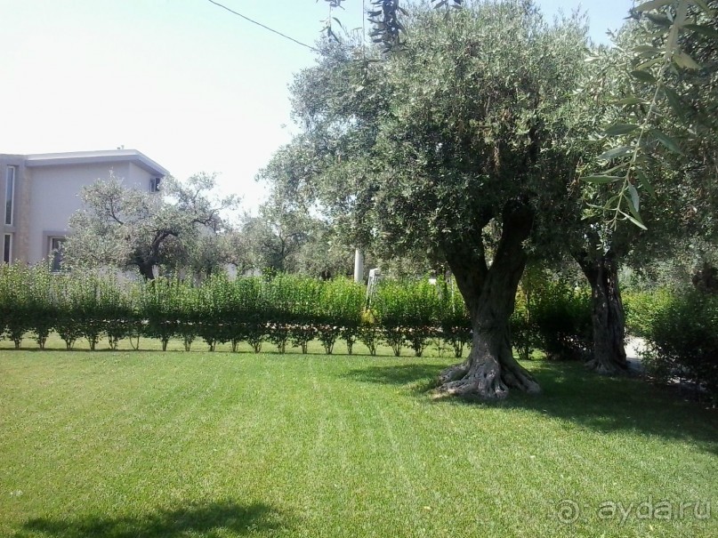 Тасос, поселок Олион