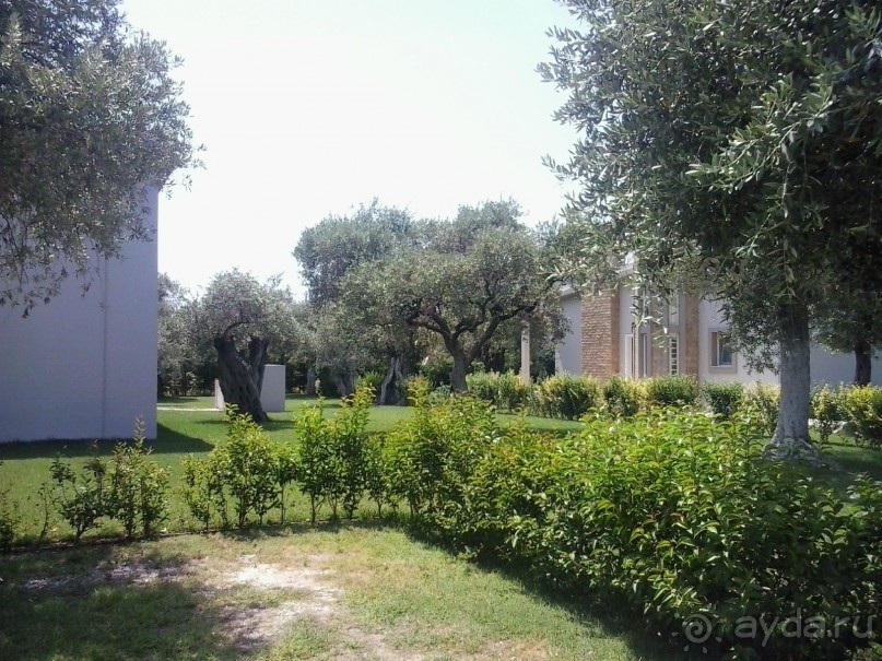 Тасос, поселок Олион