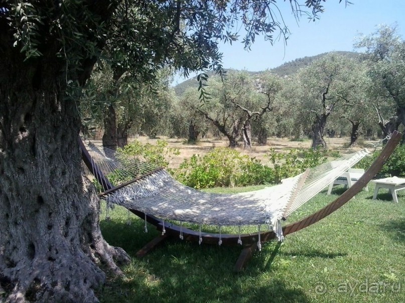 Тасос, поселок Олион