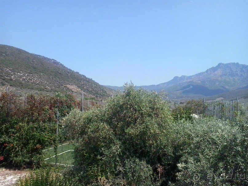 Тасос, поселок Олион