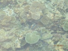 фото Robinson Maldives