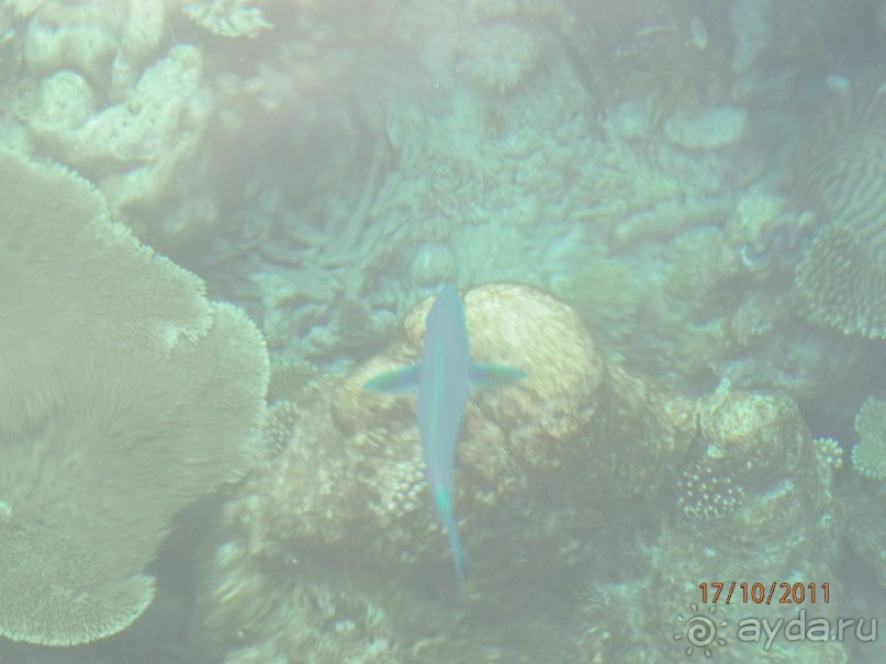 фото Robinson Maldives