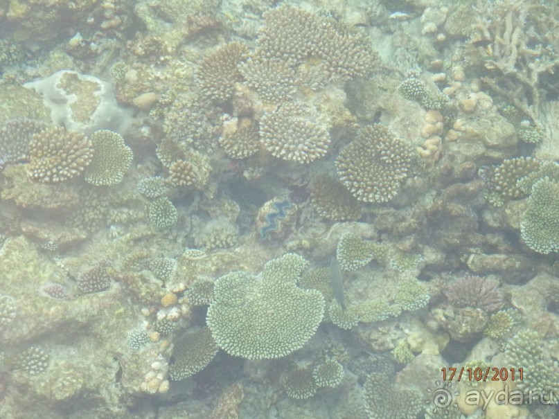 подводный мир