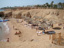 пляж, занимать места в 5 утра