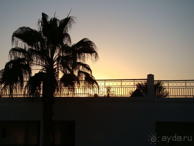 рассвет по-Египтянски